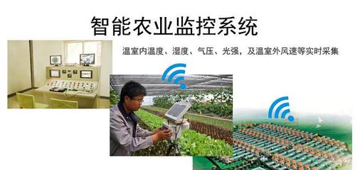 溫度、濕度、光照強度與農(nóng)業(yè)生產(chǎn) 在線氣象監(jiān)測技術(shù)解析