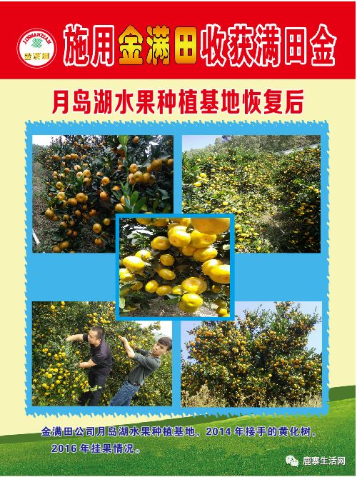 是什么讓這個基地碩果累累？鹿寨柑橘大咖現(xiàn)場授課，誠邀您來參加