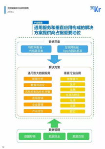 大數據服務行業研究報告